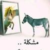 mohamedshokry280