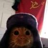 hola_humano