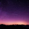 tom_9_