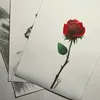 pedroguilherme607