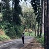 ronnysyahp