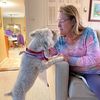thepetsitterplus