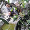 aldimuhamad04