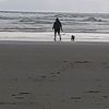 beelovebugofpnw
