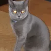 peterkos7