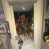 emily.keady9