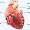 AzubiDeutschlsnd🩺🧑‍⚕️👨‍⚕️