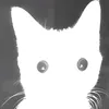 llllll_7773