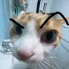 callme_franzine