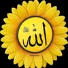 8awssw1