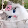 puppe7804
