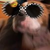 rainbowpepperm1nt