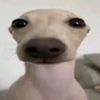 plovplohf