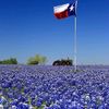 texan.by.god