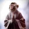nguyenlinhnguyen68