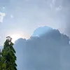 senjanyakamu_