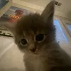 frfrjhjh