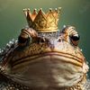 king_wayfrog_cos