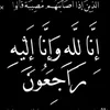 zzmm5566