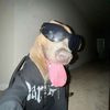 daniel_1154