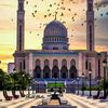mamine407