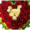 user162906413