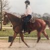 Tiffany Shewmaker