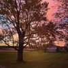 shortylovesbooks707