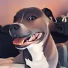 ollydu13