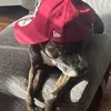qprcarly