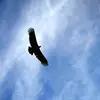 tarlanmalikov0