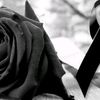 candy_3120
