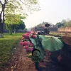 taman496