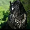 blackhorse811