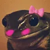 brigitteplusbas