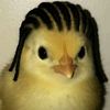 Joshy