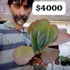 maxiromero58