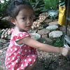 paeng6053
