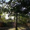 uitziljose