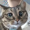 stitchy.12