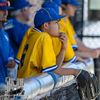 desi_baseball9