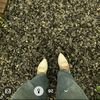 dpchive_