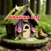 ovrazhka_life