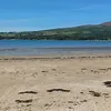 carolrobertson_1