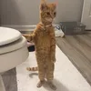 juicyorphan48