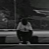 the_loin_king04