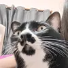 rny_nrn