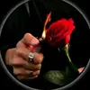 shaban9882