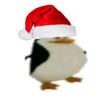 penguinfortnite123