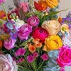 zizou_louna